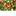tienda-de-alimentos-vida-sana.pages.dev favicon